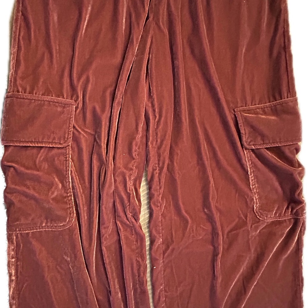 Universal Thread Velvet Maroon Trousers